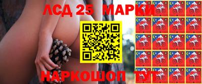 apvp Будённовск