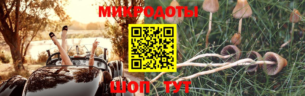 Псилоцибиновые грибы GOLDEN TEACHER Протвино