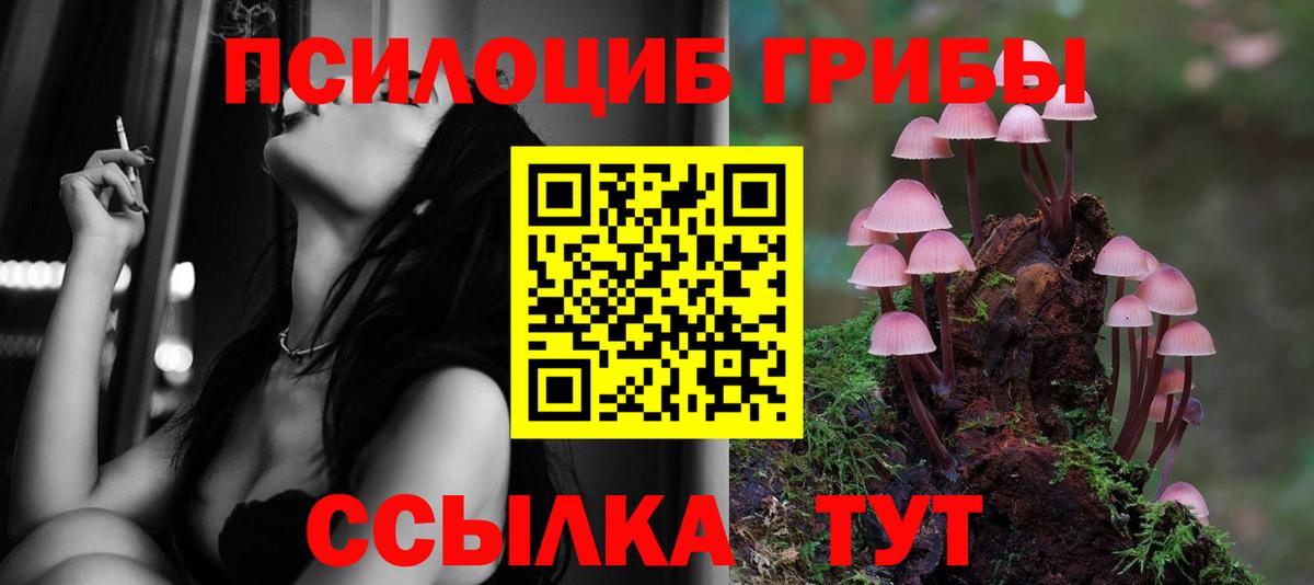 Протвино  Галлюциногенные грибы Psilocybe  Галлюциногенные грибы Psilocybe  наркотики  Вход с VPN 